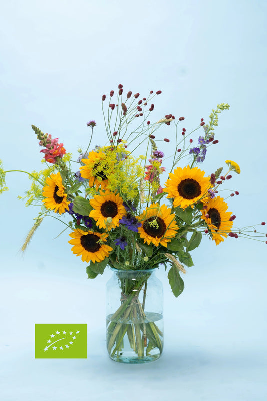 Biologisch zonnebloemen boeket kopen – natuurlijk & lokaal