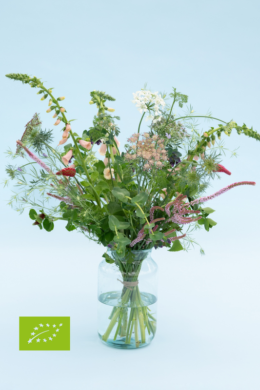 Biologisch Bloem Abonnement | Medium