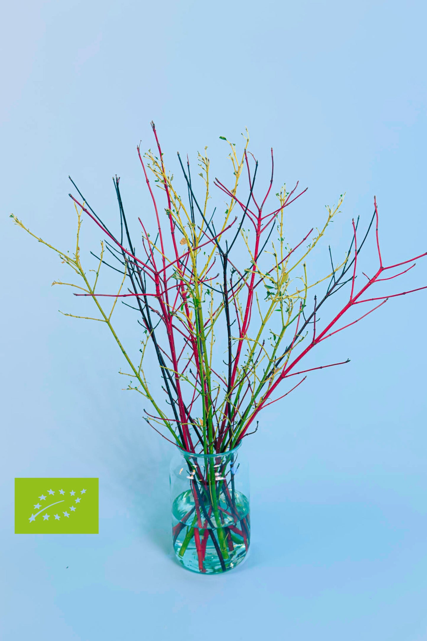 Biologische Heesters | Twigs that Whisper