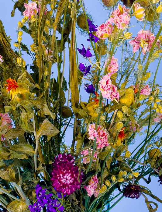 Roze droogbloemen zonder water, biologisch en lang mooi, koop nu