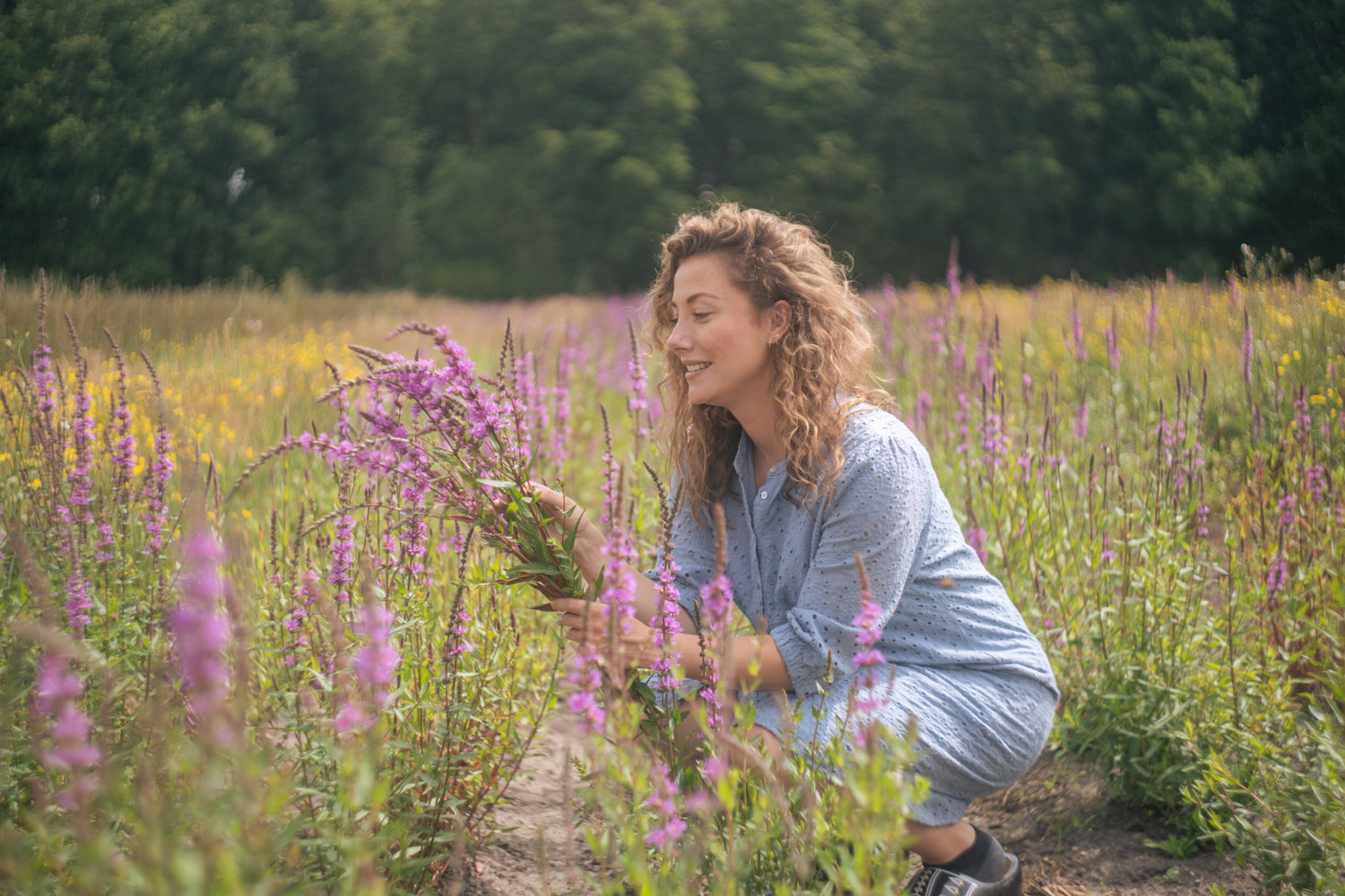 De mooiste seizoensbloemen snel bezorgd