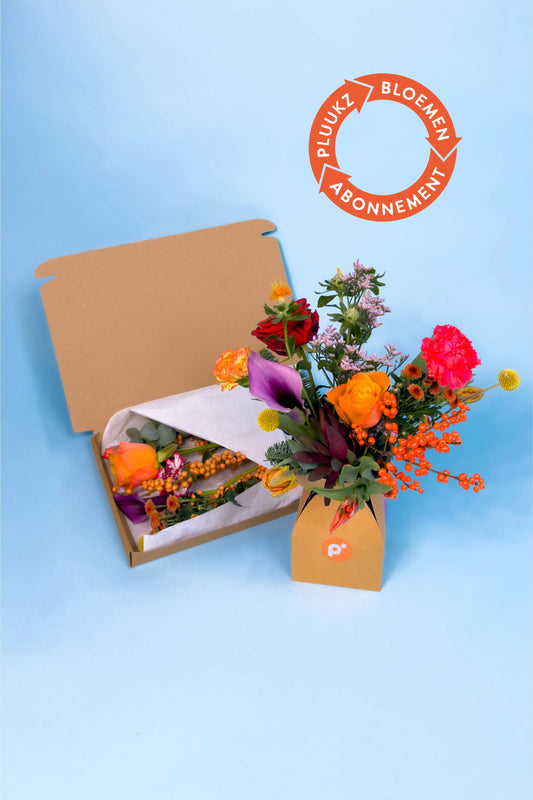 Prachtig brievenbus boeket abonnement van Pluukz