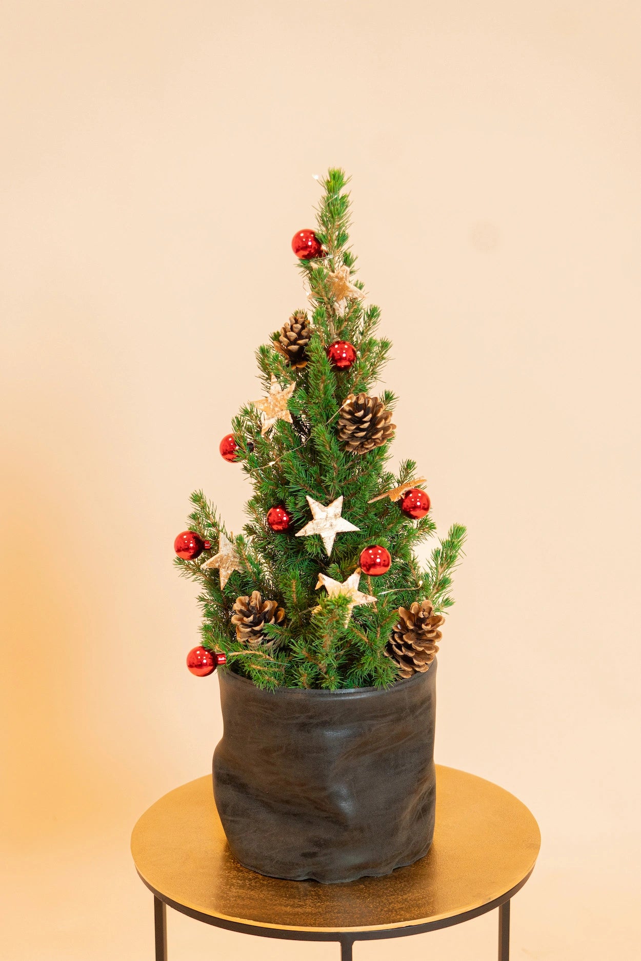 Echt versierd kerstboompje! Snel bezorgd op de gekozen dag.