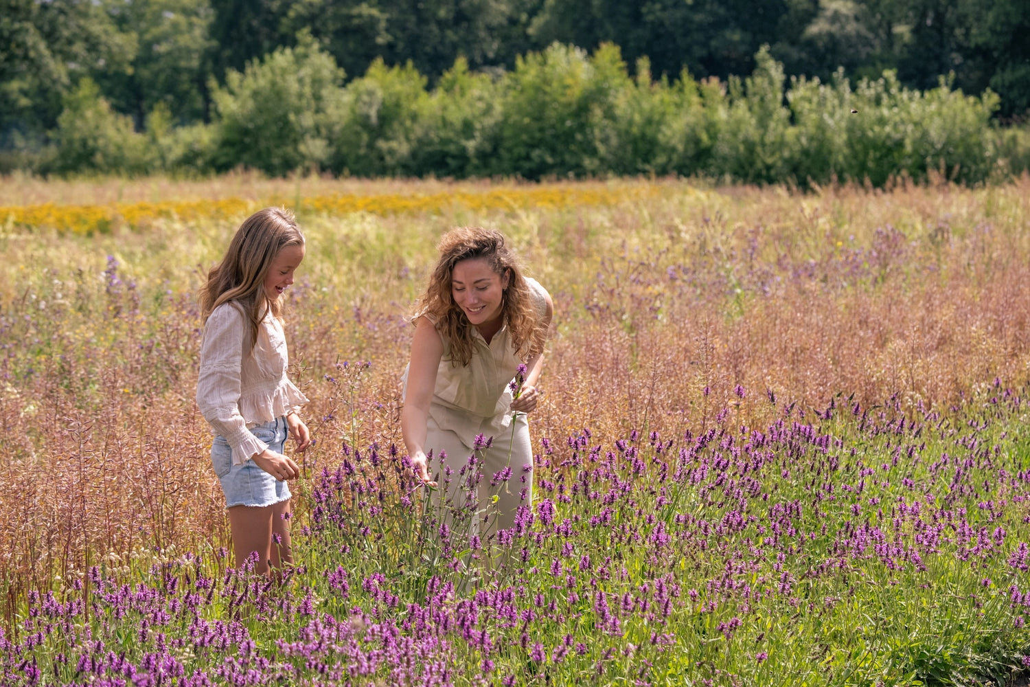 Biologische bloemen bezorgen door Pluukz – plukverse seizoensbloemen van Nederlandse bodem, met zorg geteeld zonder gif en met liefde bezorgd. Ontdek duurzame boeketten die goed doen voor mens, bij en aarde – de puurste manier om bloemen te bezorgen in Nederland