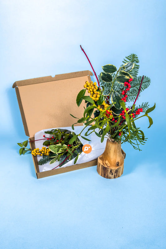 prachtige kerst mistletoe