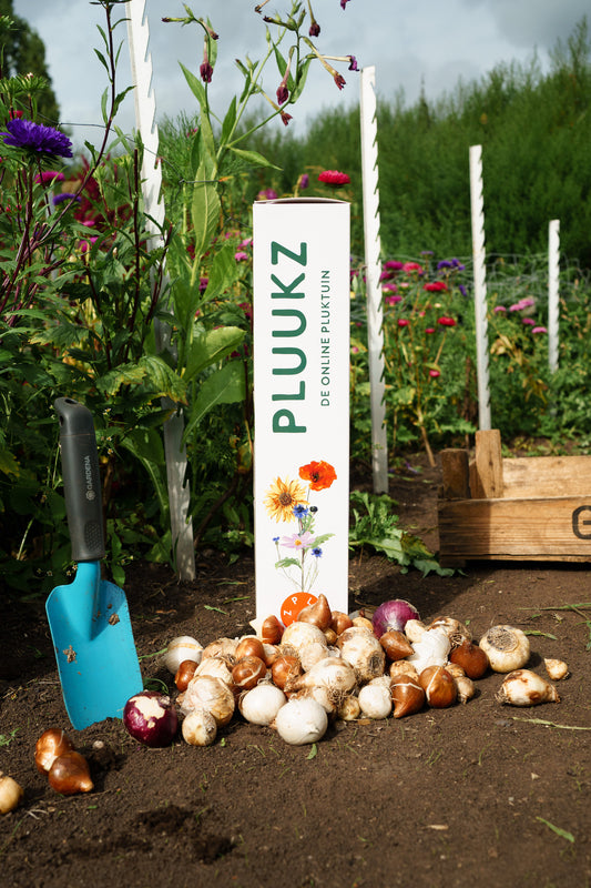 Pluktuin bloembollen pakket met de mooiste bloembollen voor je eigen pluktuin