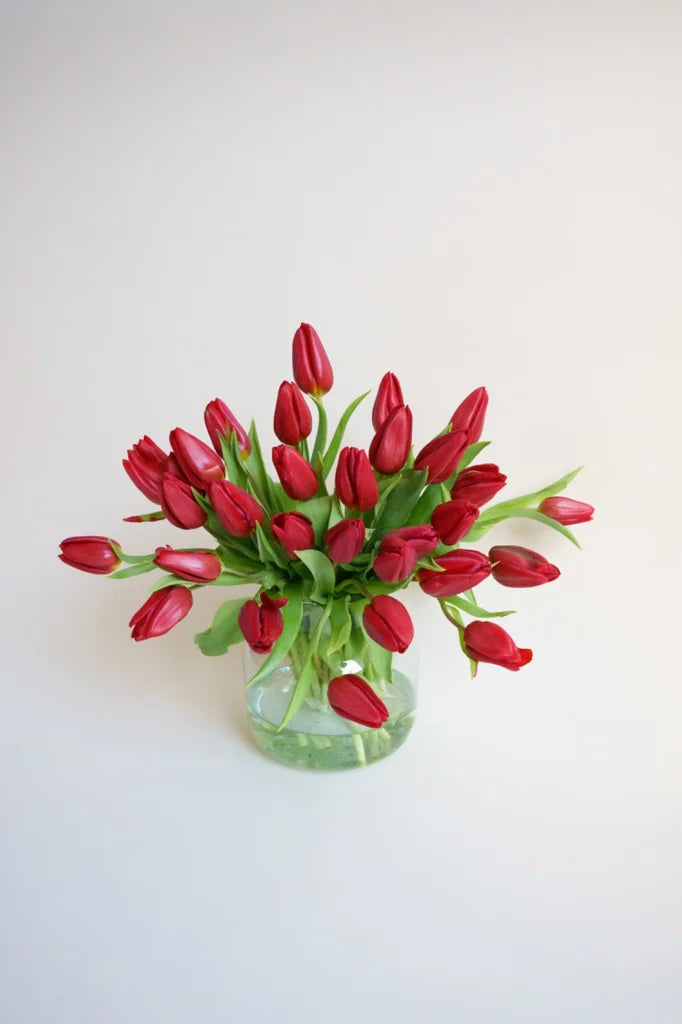Een bos rode tulpen in een doorzichtige vaas, met gesloten bloemen en groene bladeren, tegen een neutrale lichte achtergrond.