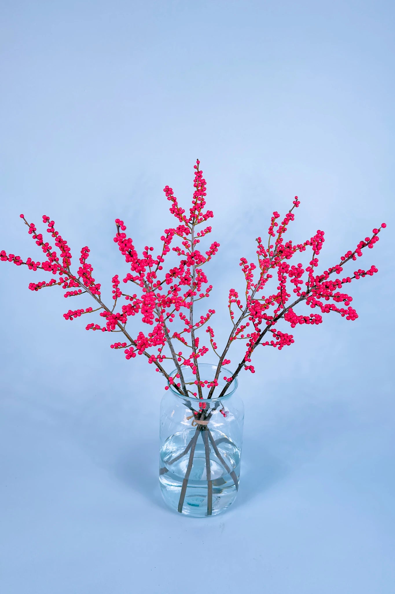 Biologisch geteelde | ilex Bessentak