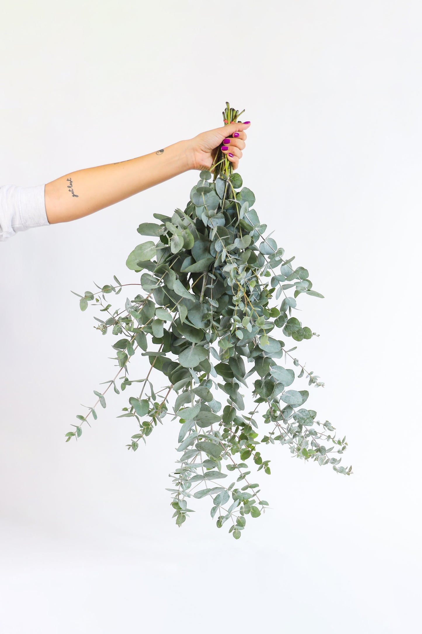 Eucalyptus takken is een prachtig boeket bloemen!