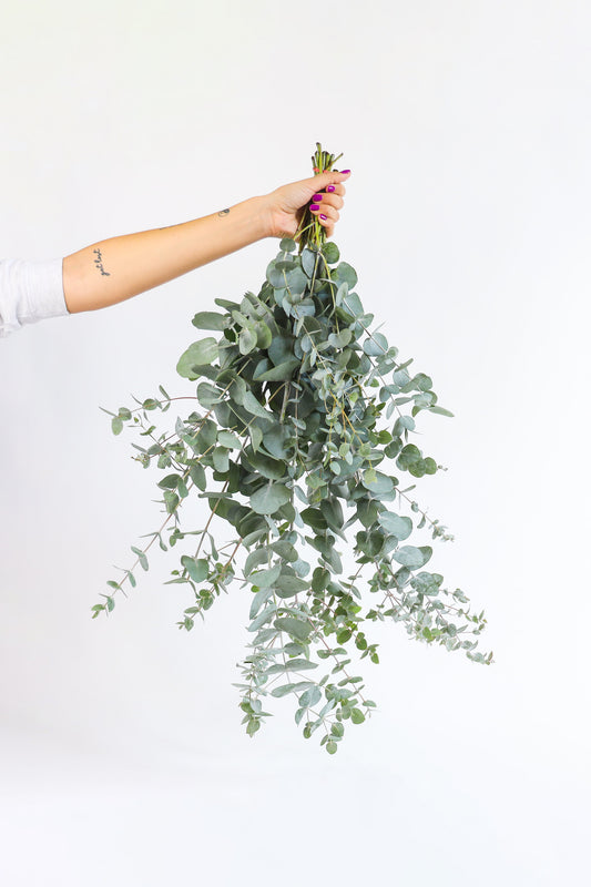 Eucalyptus takken is een prachtig boeket bloemen!