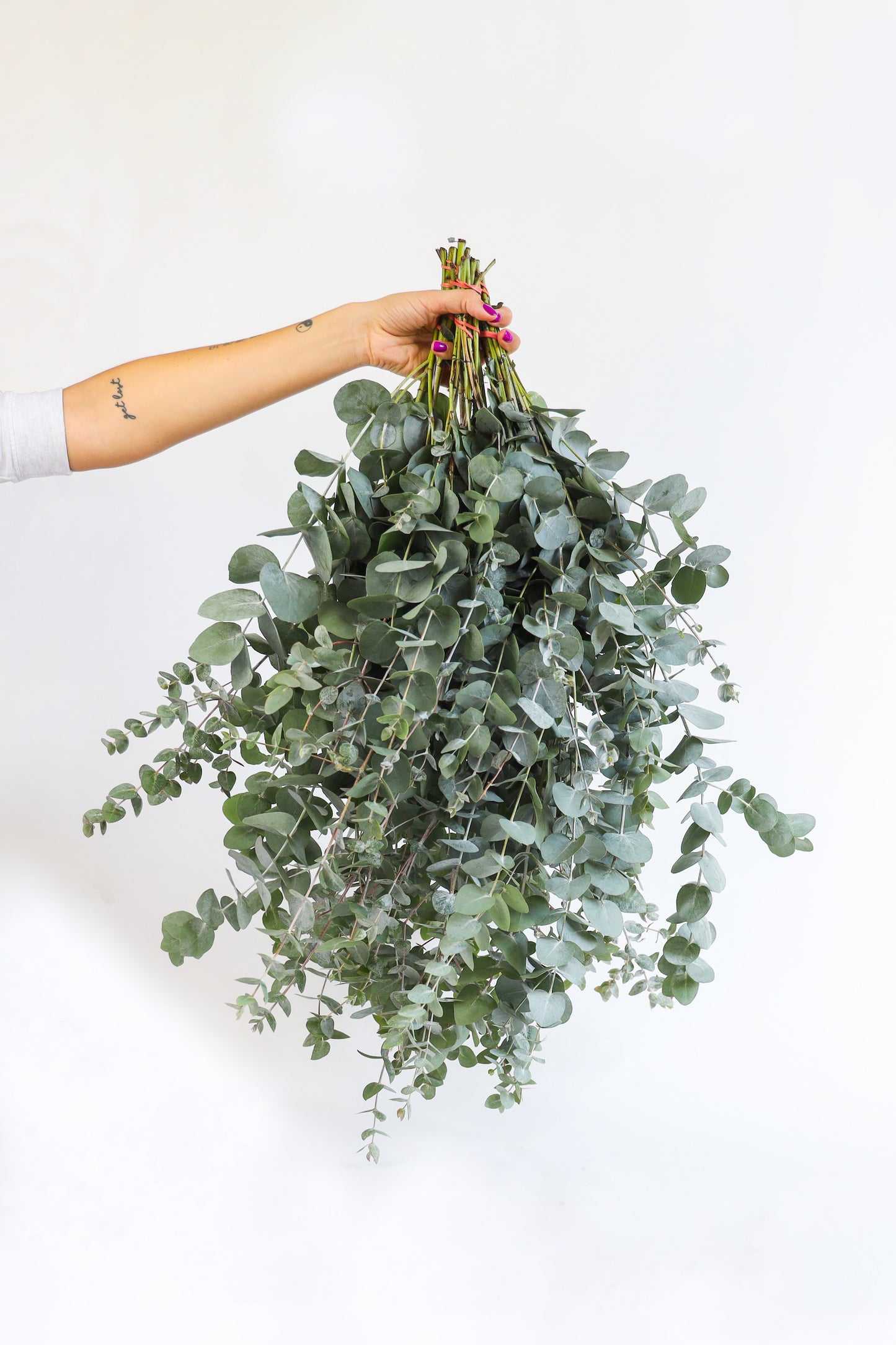 Eucalyptus takken bij de kweker! Prachtig boeket bloemen