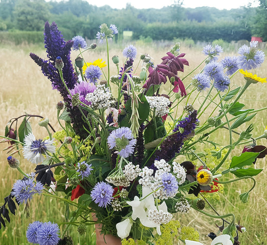 100 bloembollen bestellen? Bekijk dan dit bloembollen pluktuin pakket