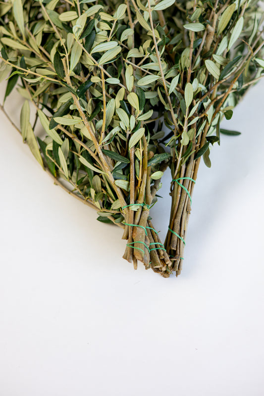 Verse Olijftakken snel thuisbezorgd!