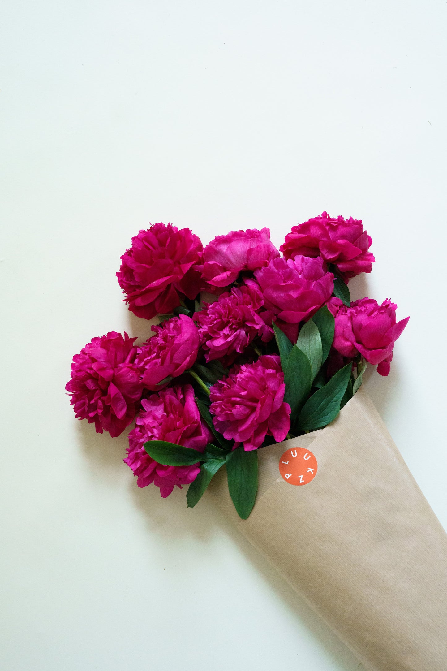 Plukverse paarse pioenrozen! Met liefde geplukt.