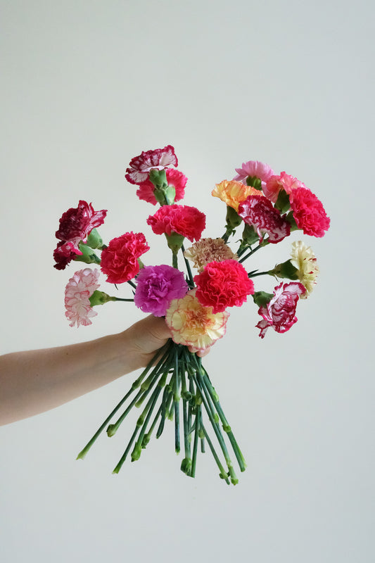Brievenbus anjer laten bezorgen? Wij bezorgen onze brievenbus bloemen plukvers en snel!