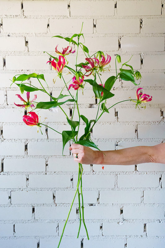 Plukboeket of veldboeket bestellen? Hier plukverse bloemen bezorgd door gespecialiseerde bloemen koerier