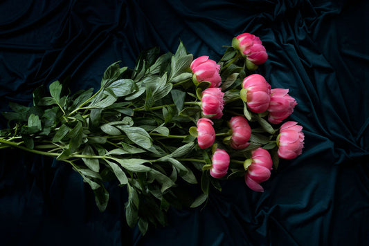 Roze pioenrozen laten bezorgen? De mooiste plukverse van de kweker razendsnel naar de vaas!