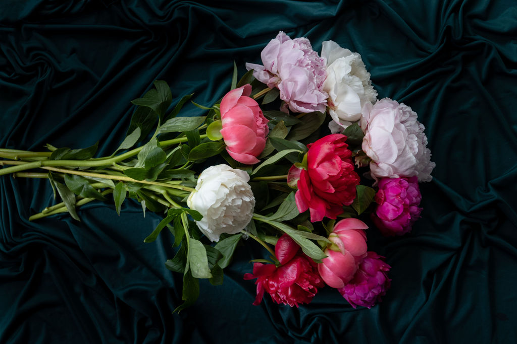 Prachtige pioenrozen laten bezorgen? Wij bezorgen plukvers en razensnel!