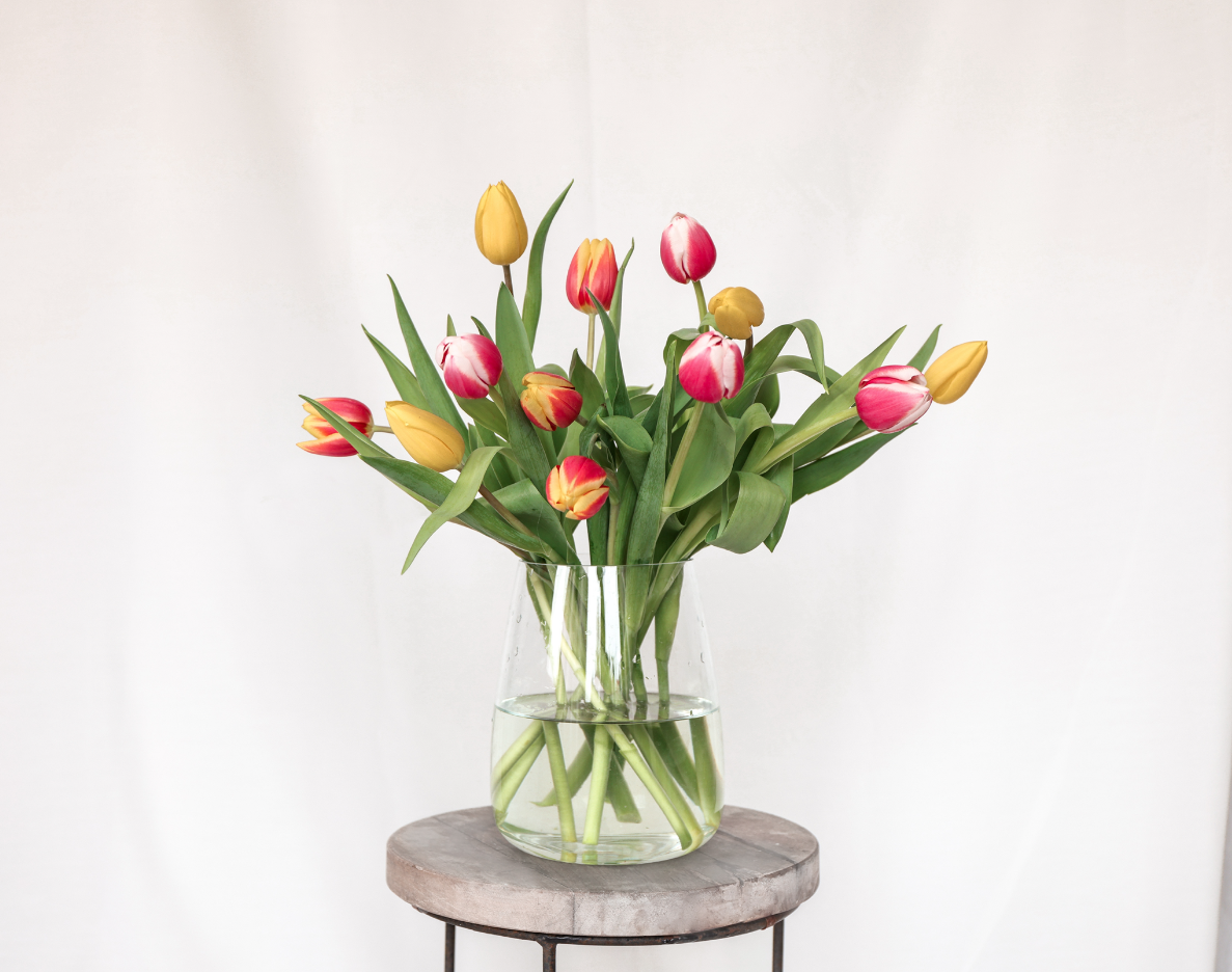 Tulpen per post ontvangen? Onze tulpen bestel je snel online? Dat kan natuurlijk met die brievenbus cadeau. Bloemen bezorgen wij snel met die brievenbus cadeau.