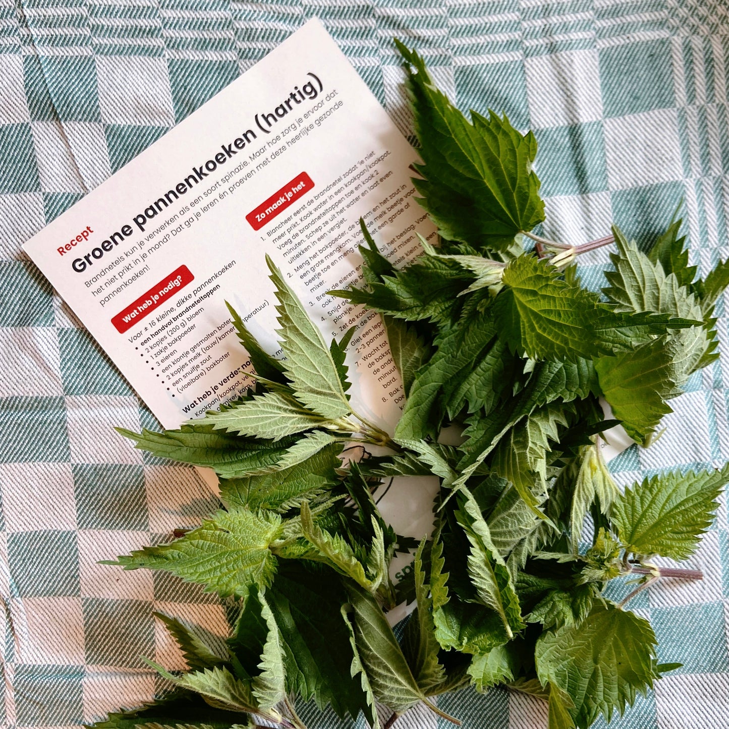 Moestuin brandnetel recept