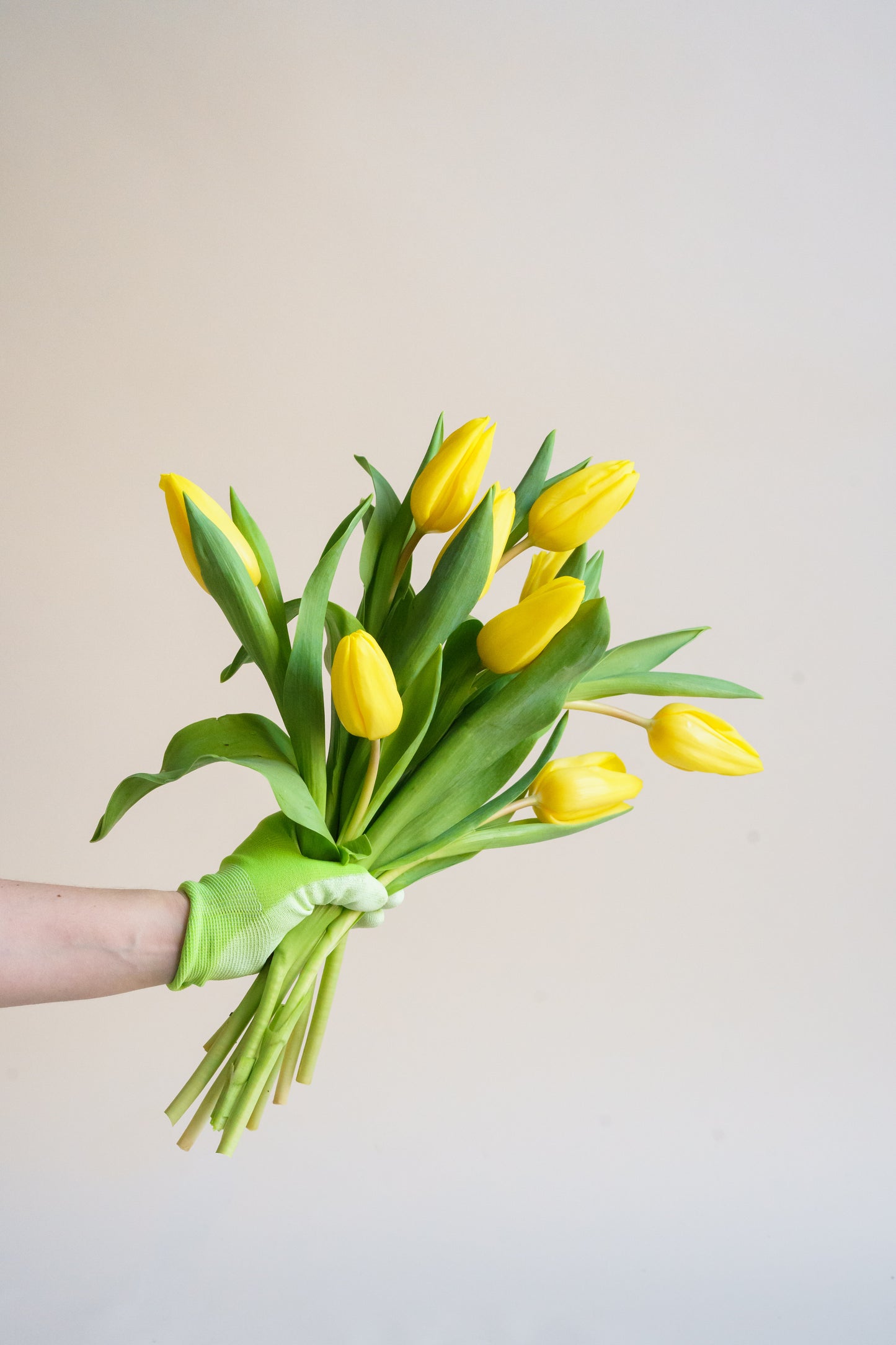 Gele brievenbus tulpen