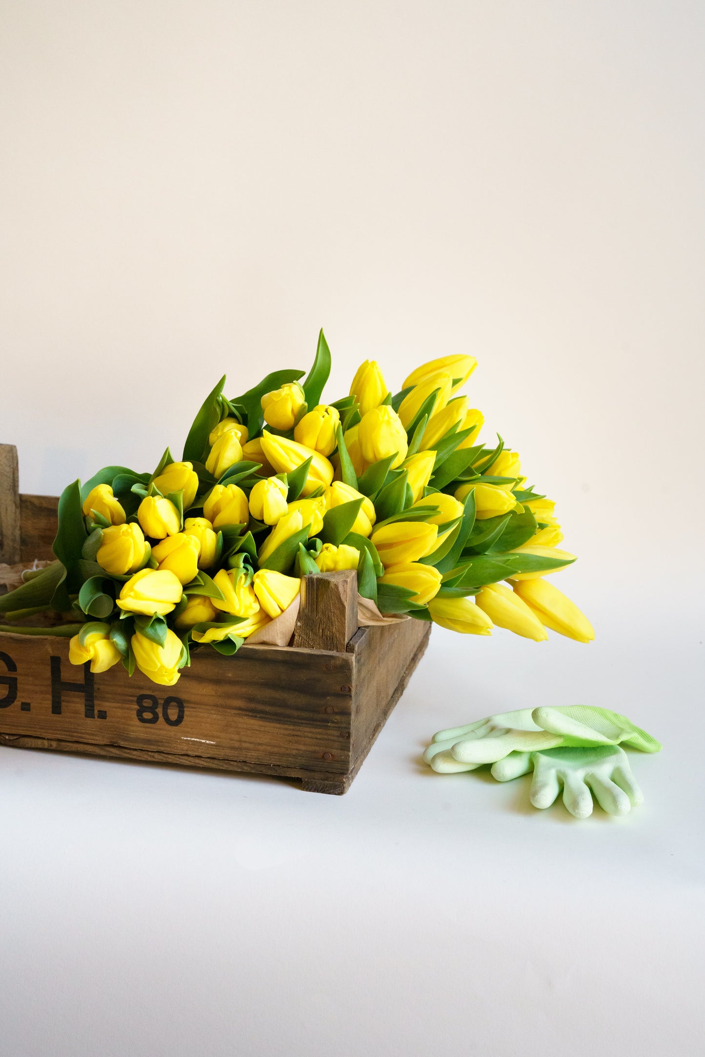 50 gele tulpen bestellen? Bij zorgen plukvers en razendsnel!