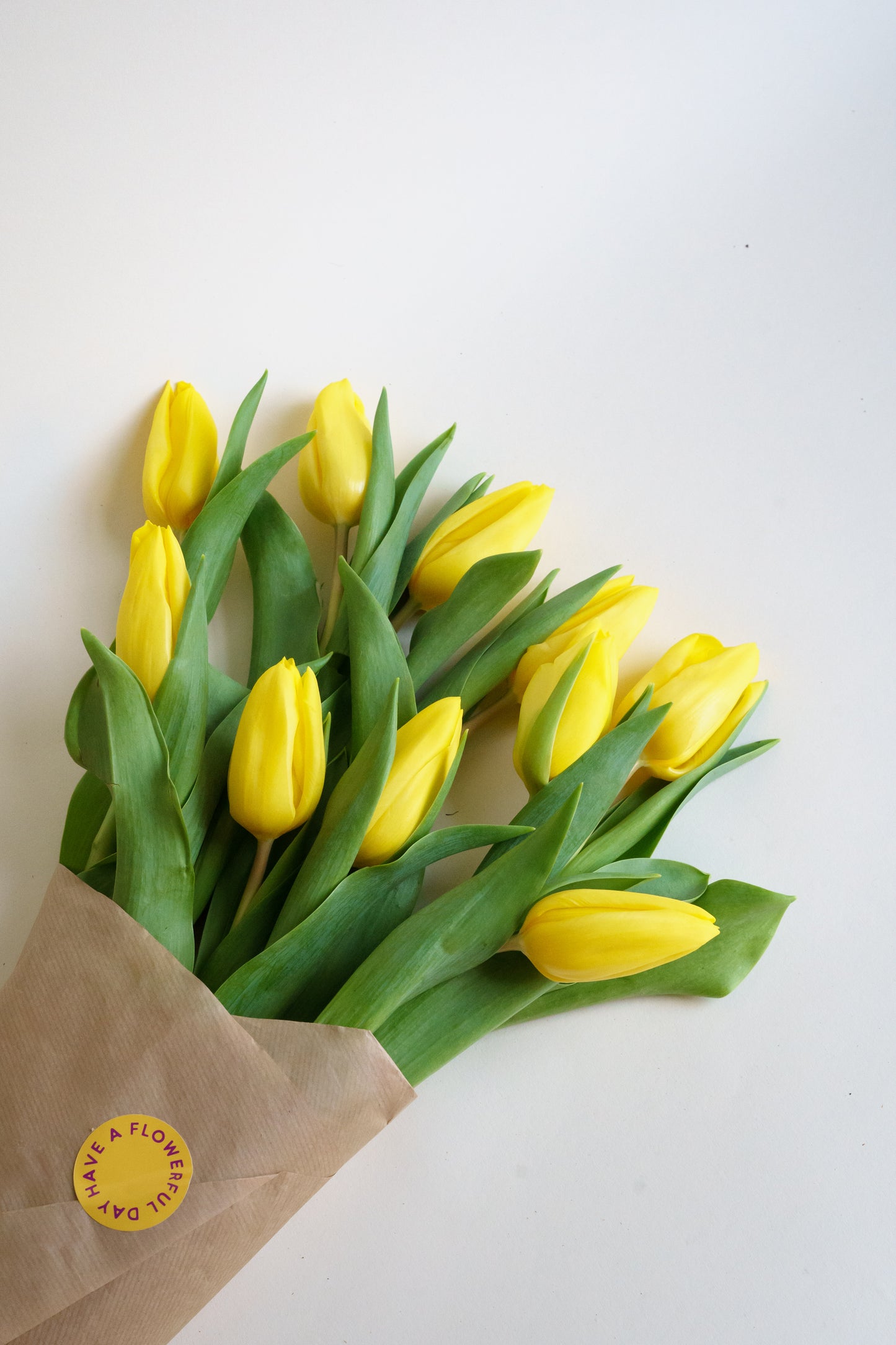 Gele tulpen bestellen? Wij bezorgen onze tulpen plukvers en snel