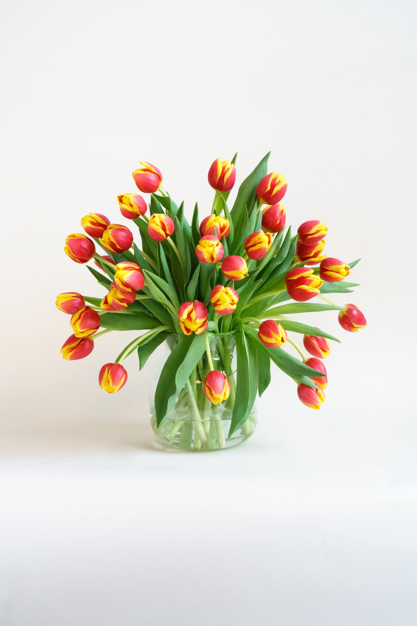 Plukverse tulpen bloemen laten bezorgen? Plukvers naar de vaas