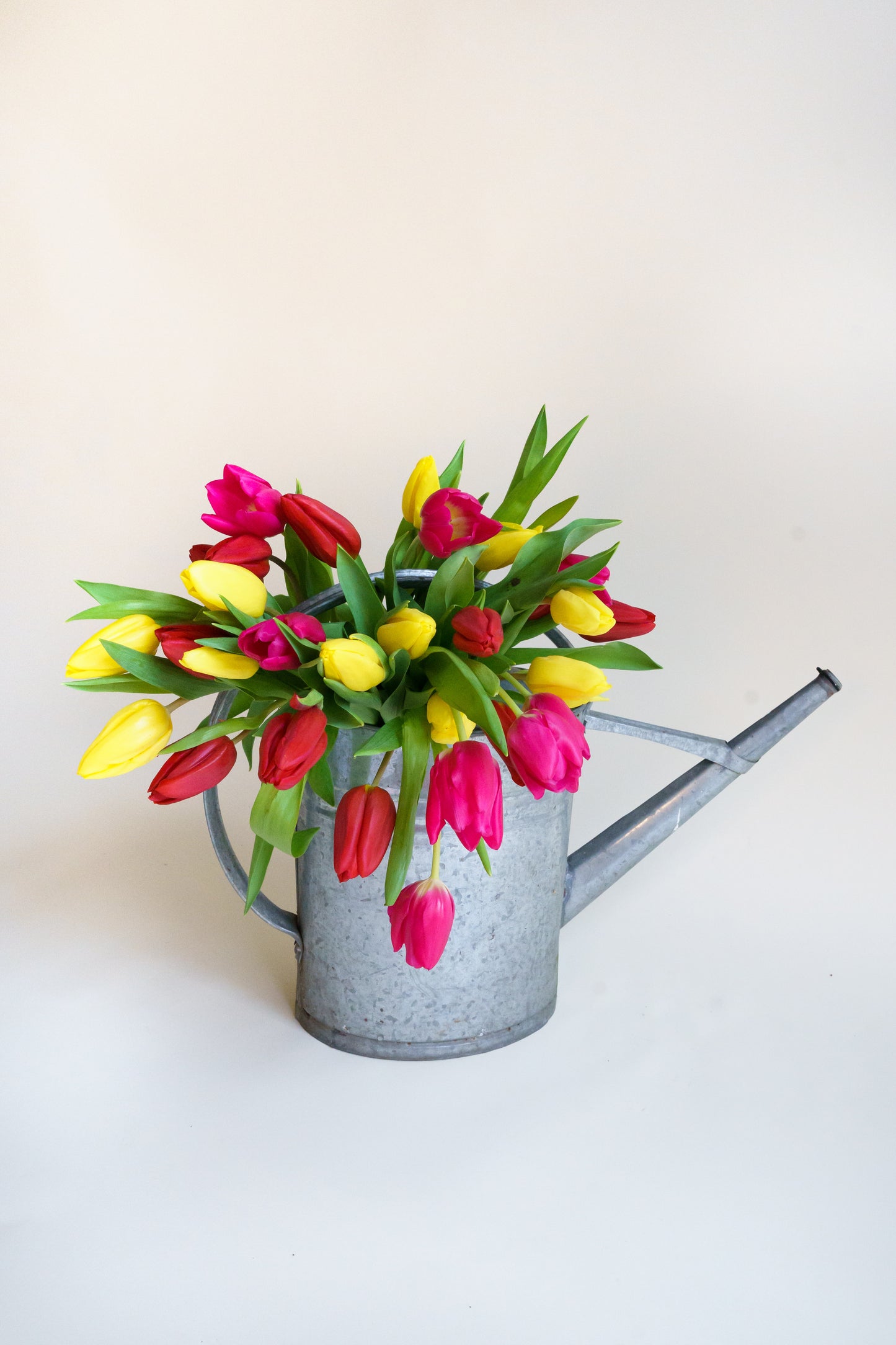 Tulpen kleuren mix bloemen laten bezorgen? Wij bezorgen onze bloemen plukvers en razensnel