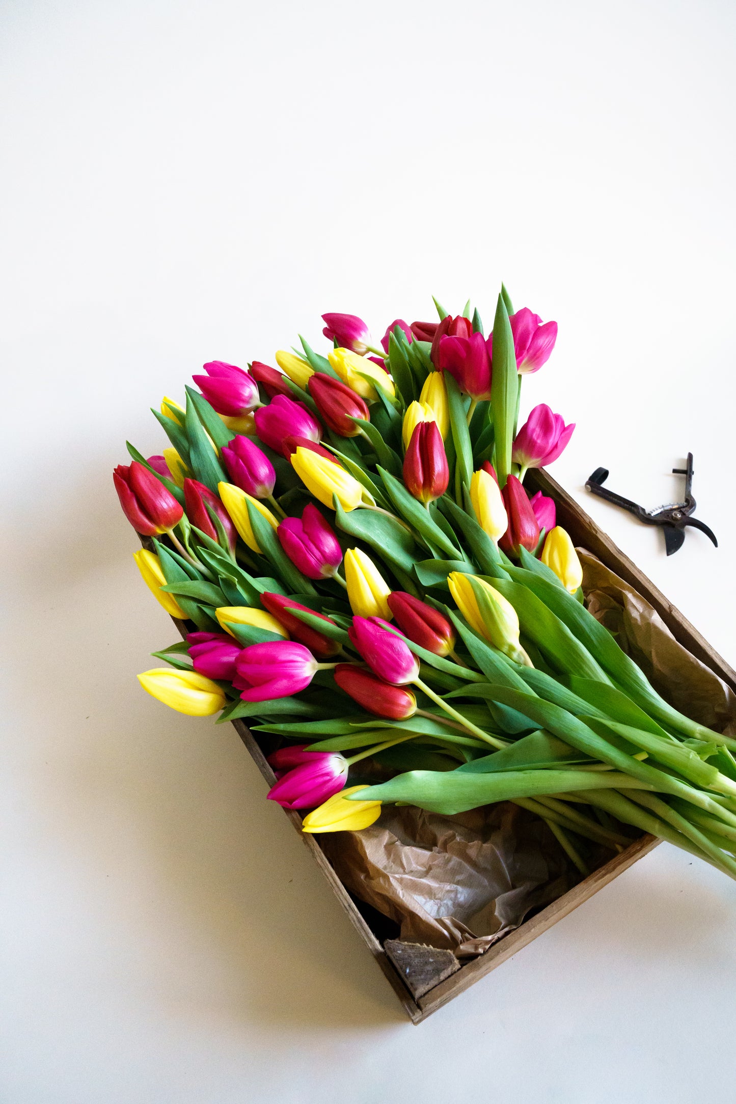 Tulpenboeket bestellen? Onze worden plukvers bezorgd vers van de kweker