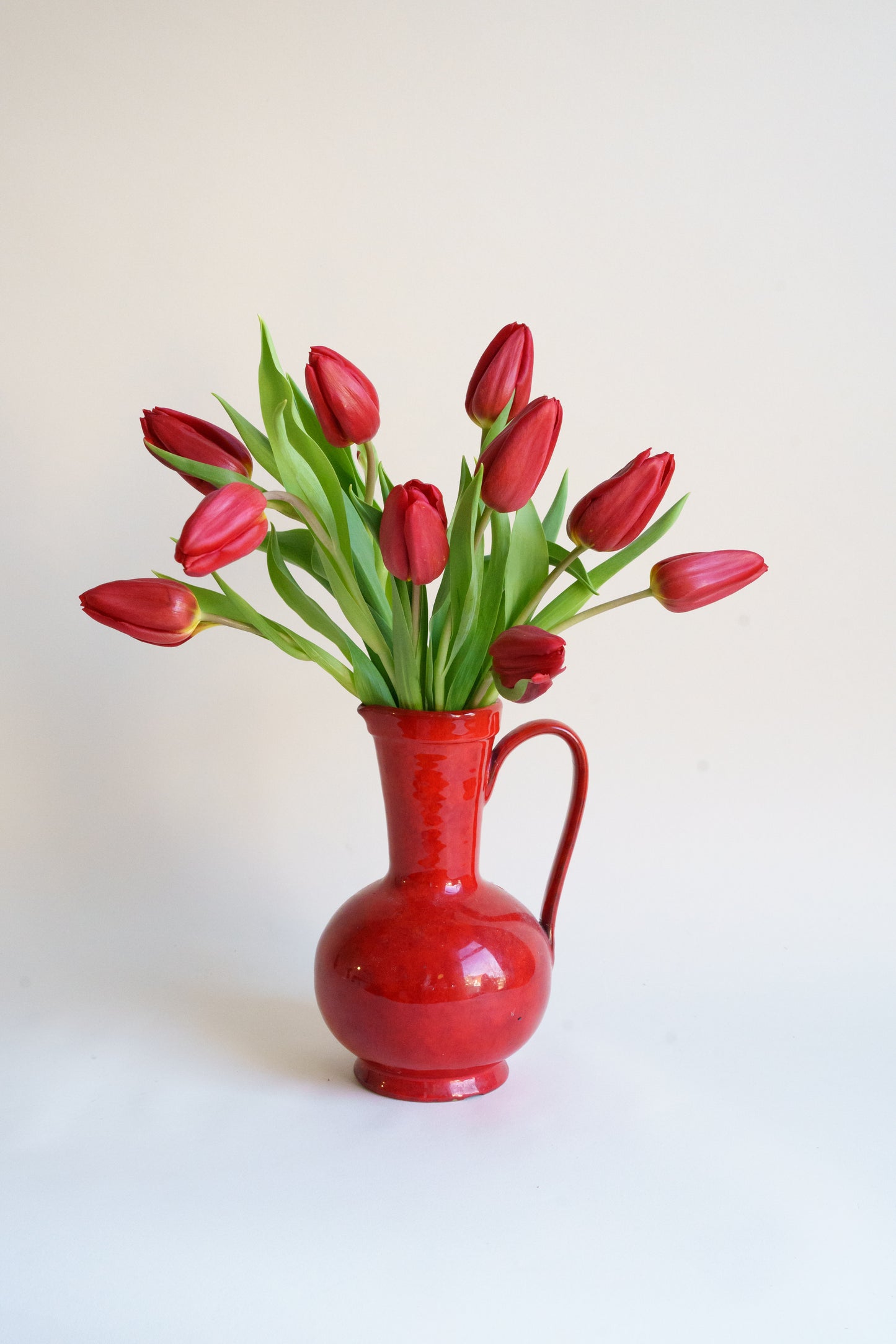 Tulpen per post met plukverse tulpen van de kweker! 