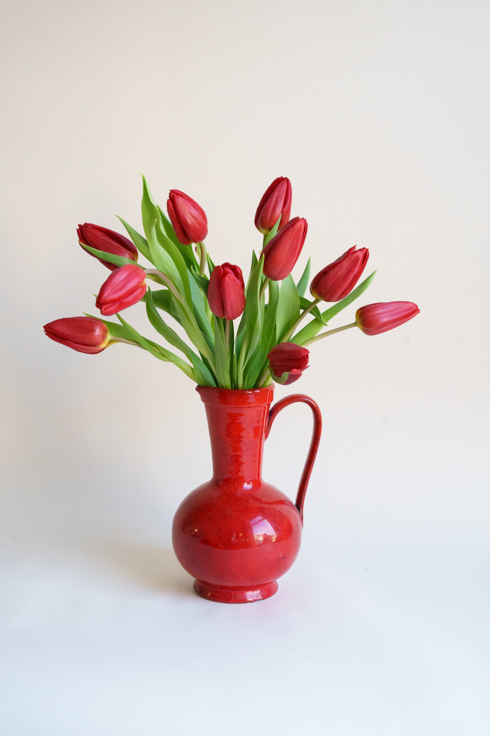 Tulpen per post met plukverse tulpen van de kweker!