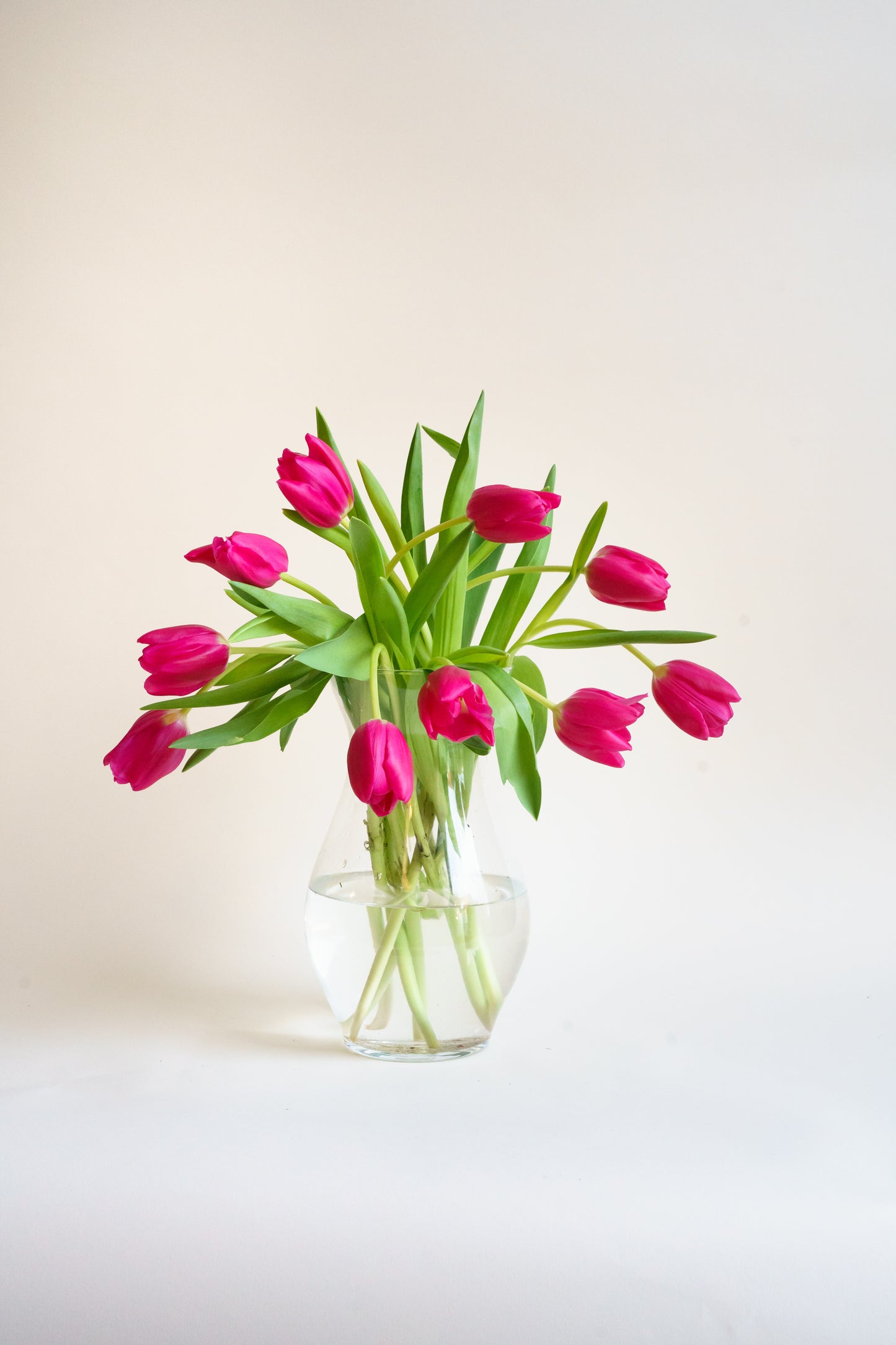 Roze brievenbus tulpen van de kweker