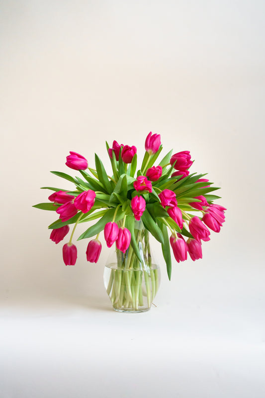 roze tulpen vers van de kweker.