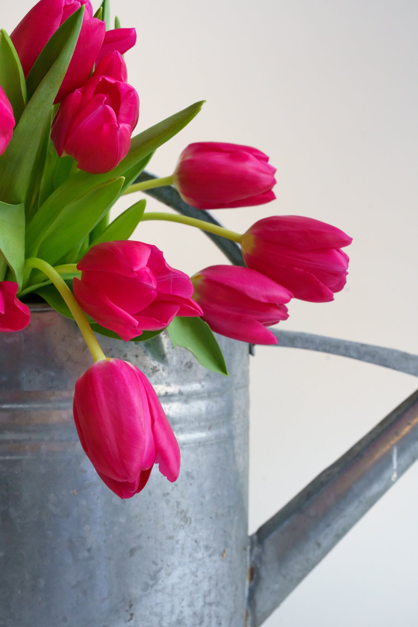 Wij bezorgen onze bloemen plukvers en razendsnel!