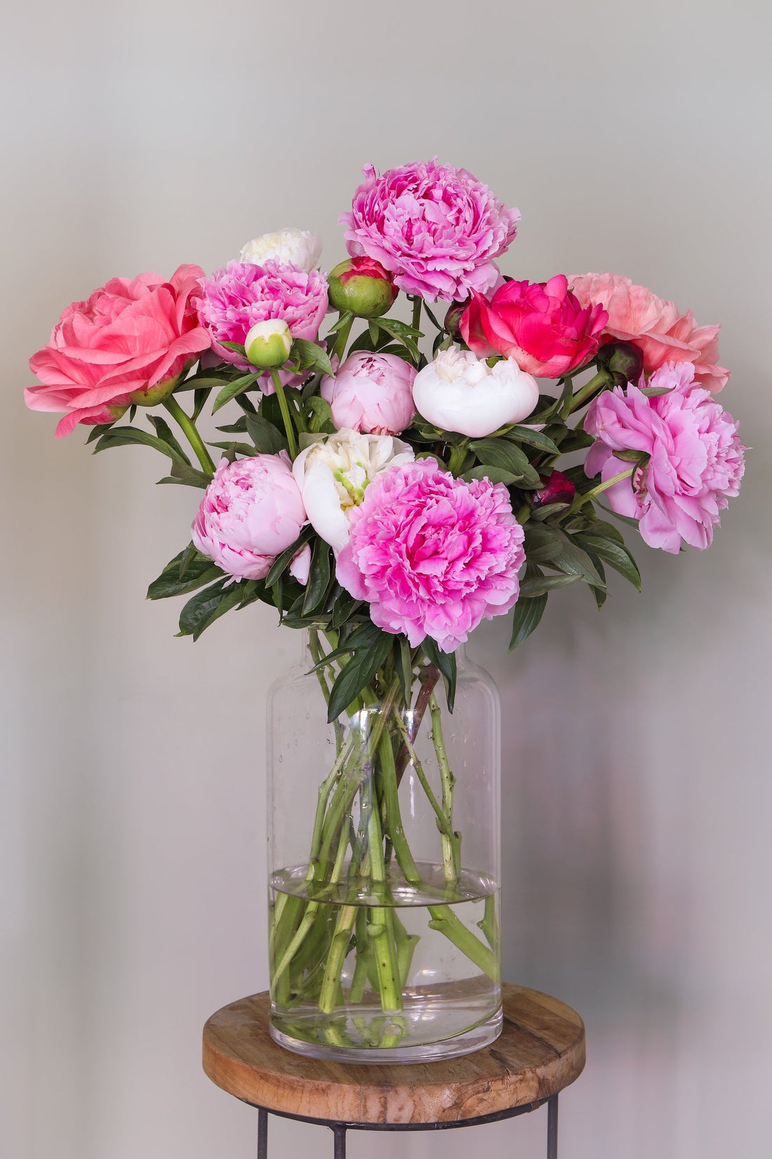 Biologische pioenrozen – duurzaam geteelde bloemen van PLUUKZ