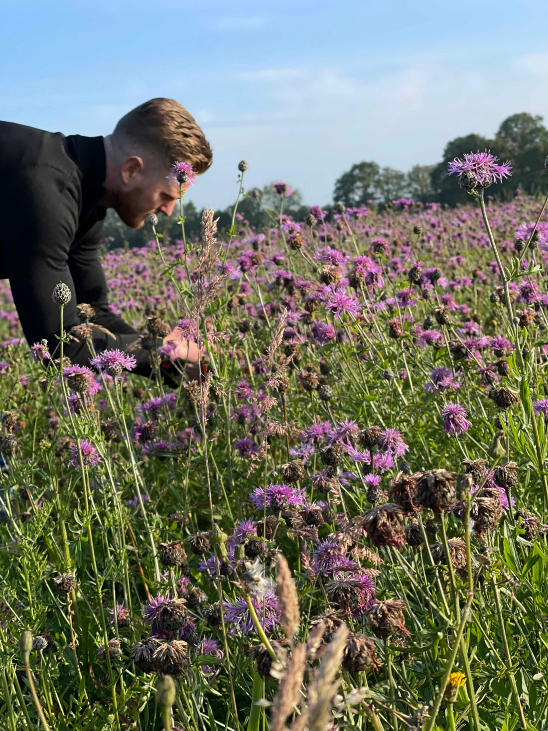 Bloemen gids en tips over de mooiste bloemen van het seizoen!