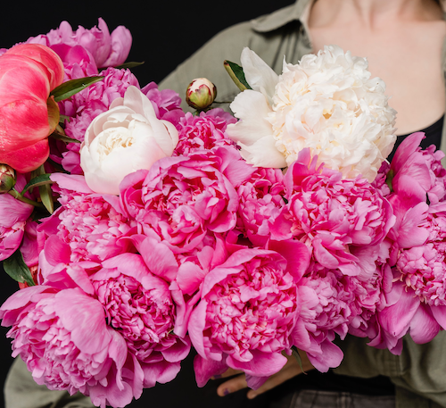 Unieke cadea's voor haar vindt je in deze blog! Plukvers bloemen van de teler razendsnel bezorgd van Pluukz!