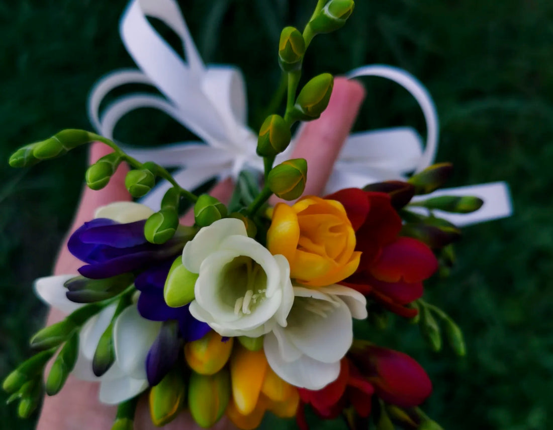Fresia bloemen in close-up met korte weetjes voor jouw fresia blog.