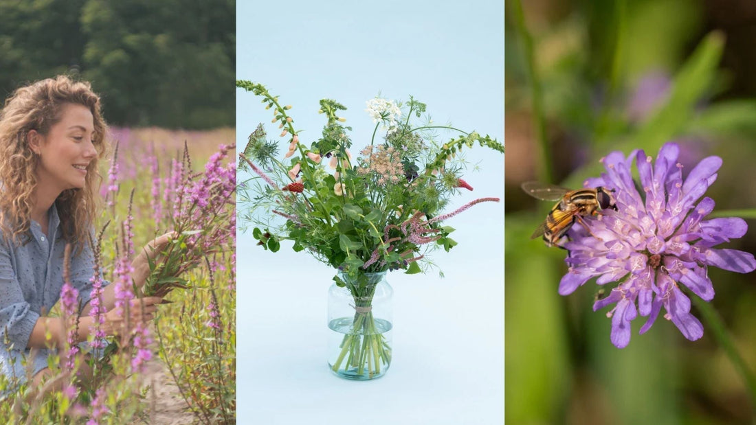 Ontdek hoe je biologische bloemen herkent aan groeiwijze, geur, kleur en biodiversiteit. Inclusief voorbeelden uit het veld en natuurlijke boeketten.