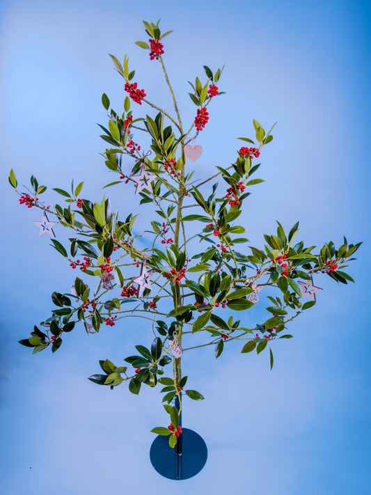 Gifvrije ilexhulst voor een rustige december