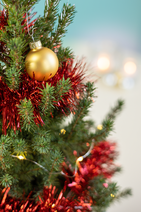 Kerstkrans bestellen | Duurzaam en biologisch bij PLUUKZ