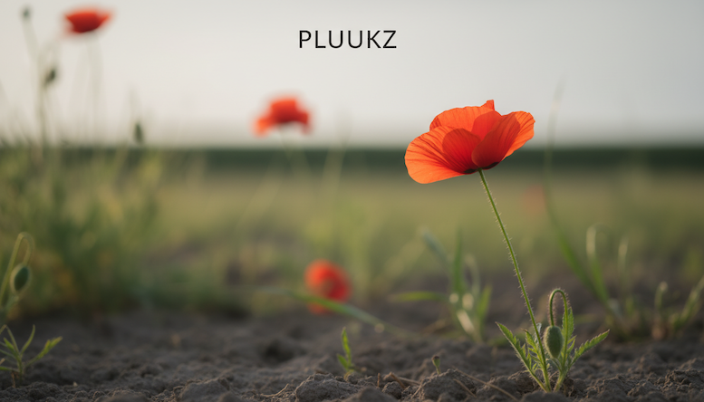 De schoonheid van de klaproos: een symbool van hoop en vernieuwing
