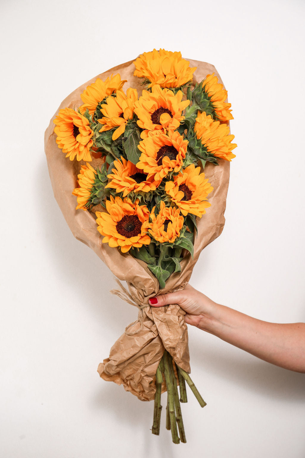 Brievenbus bloemen als relatiegeschenk versturen? Hier lees je waarom dit belangrijk is. Pluukz is de online pluktuin van Nederland. Eigenlijk een online bloemist!