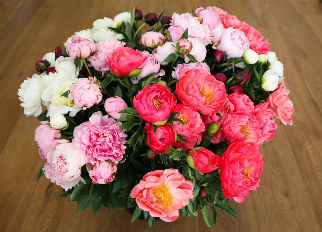 Biologische pioenrozen – seizoensbloemen van PLUUKZ