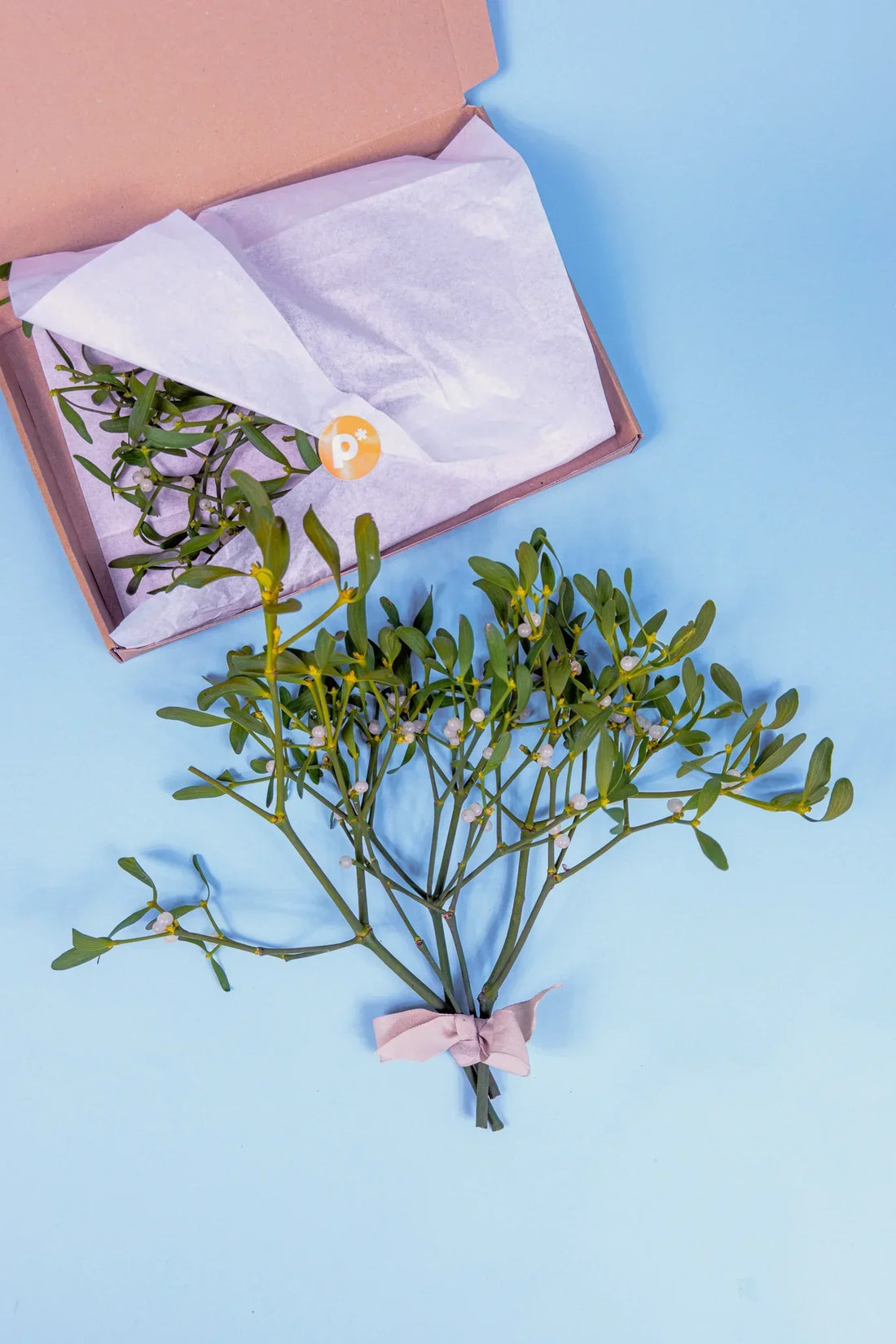 prachtige mistletoe voor geluk 