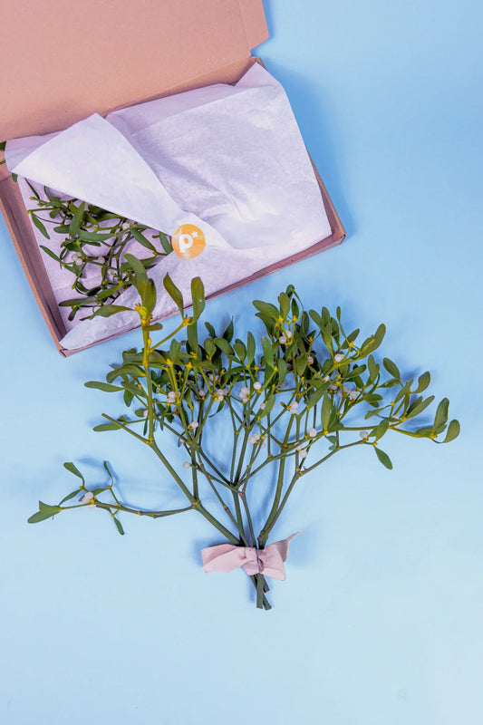 prachtige mistletoe voor geluk 