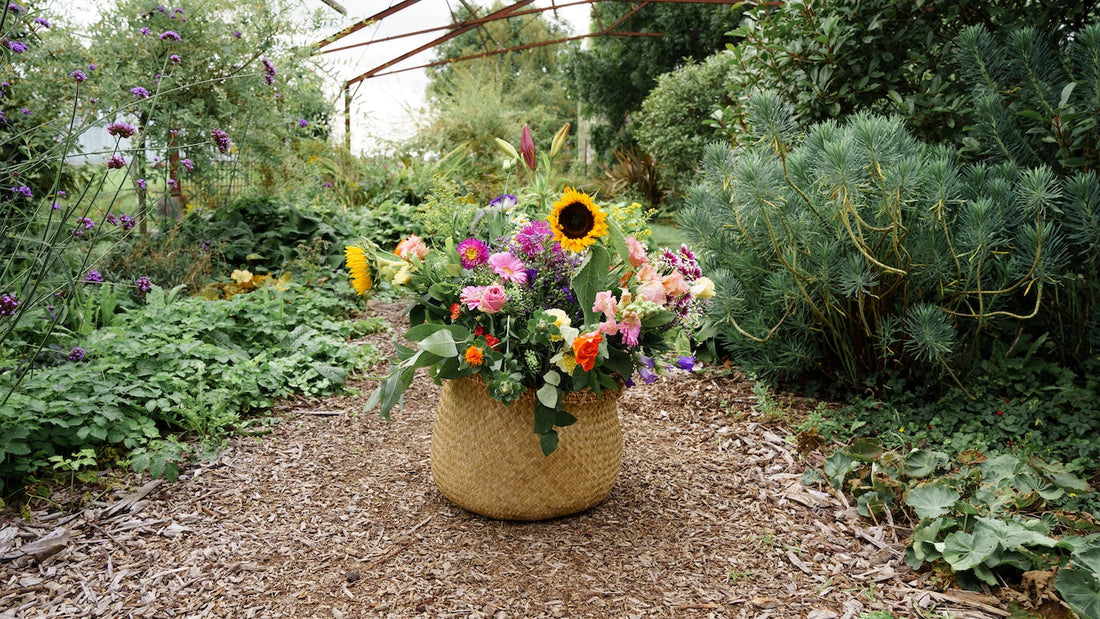 Inheemse bloemen voor bijen en biodiversiteit – groei mee met PLUUKZ