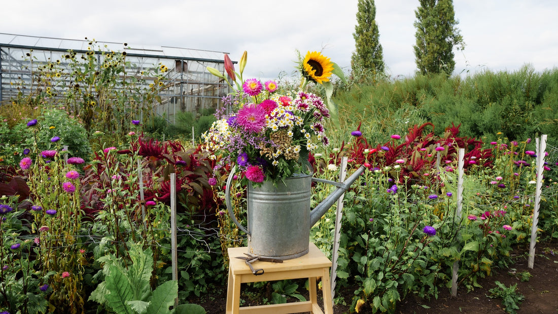 Plukverse bloemen voor een glimlach! 