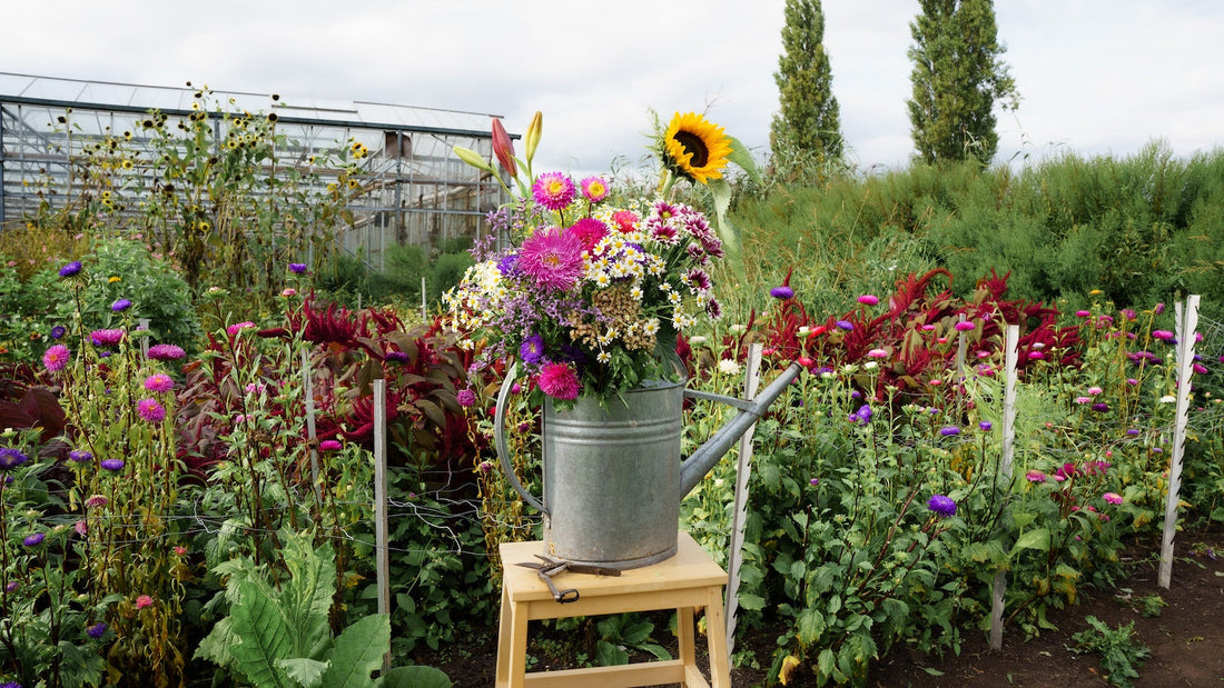 Plukverse bloemen voor een glimlach! 